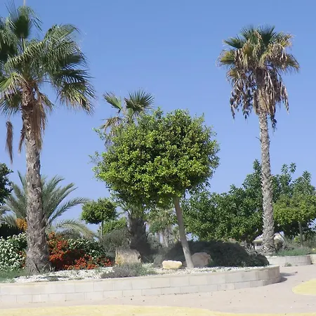 Casa En La Costa Торрев'єха